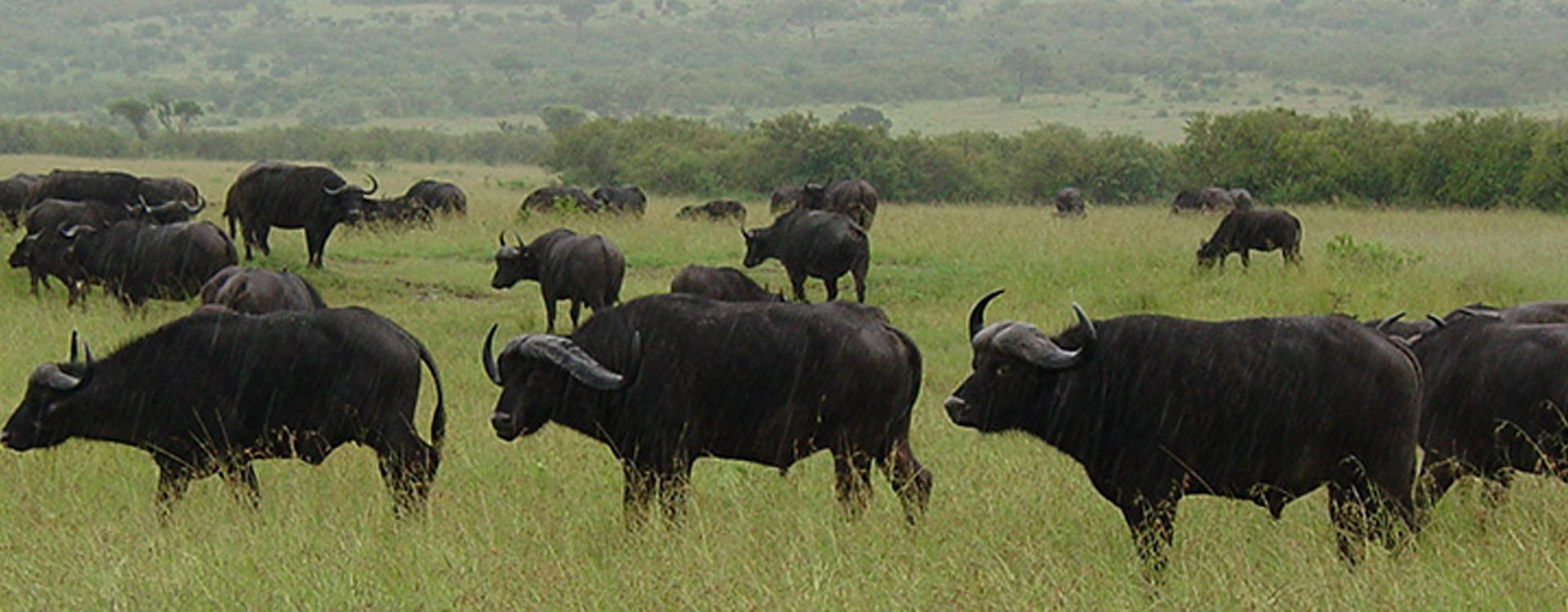 Bootstrap Touch Slider